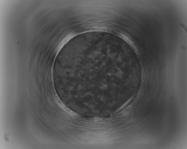 X0000100221283200806061336