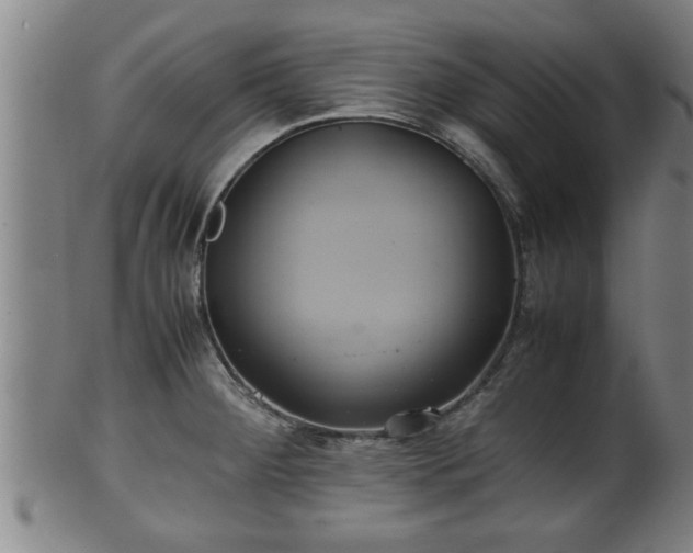 X0000100221284200806061336