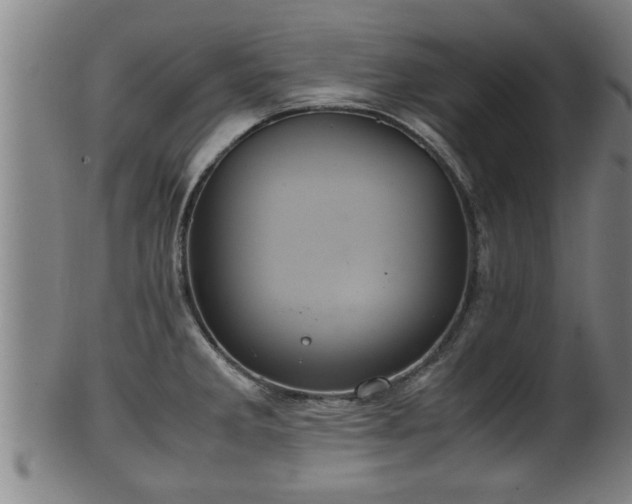 X0000100221285200806061336