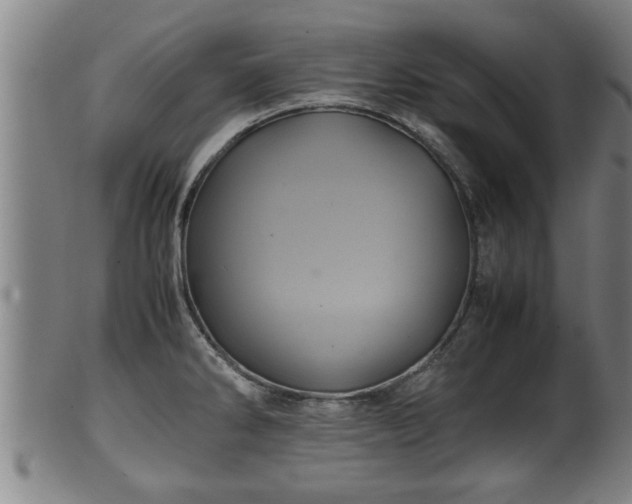 X0000100221286200806061336