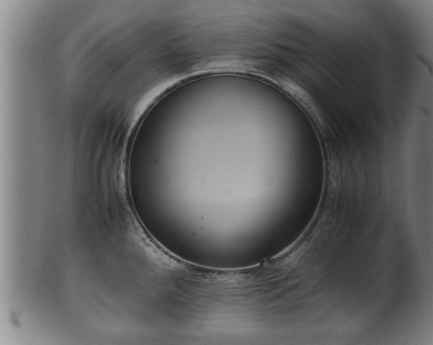 X0000100221288200806061336