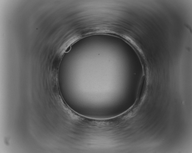 X0000100221289200806061336