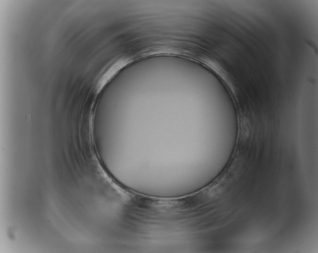 X0000100221290200806061336