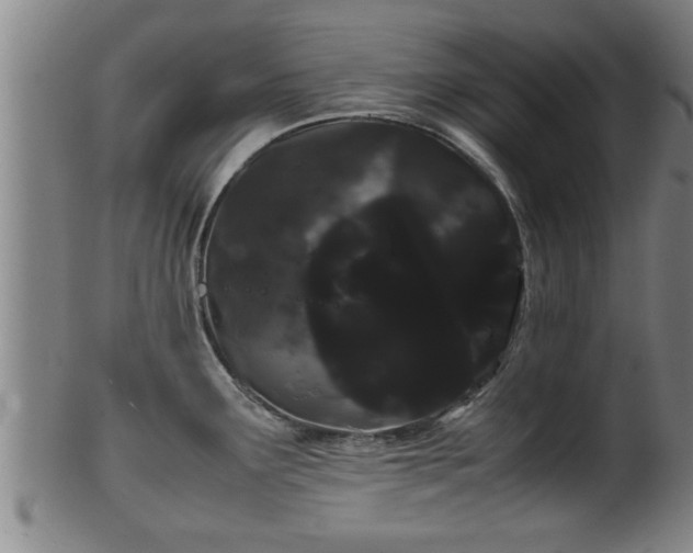 X0000100221291200806061336