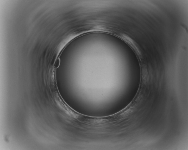 X0000100221292200806061336