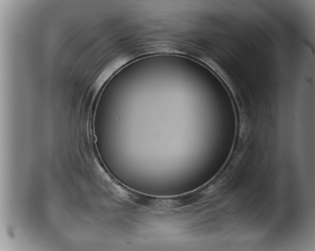 X0000100221293200806061336