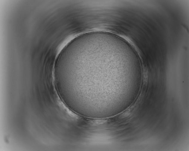 X0000100221294200806061336