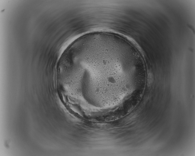 X0000100221295200806061336