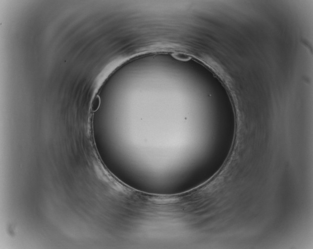 X0000100221296200806061336