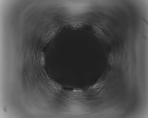 X0000100221298200806061335