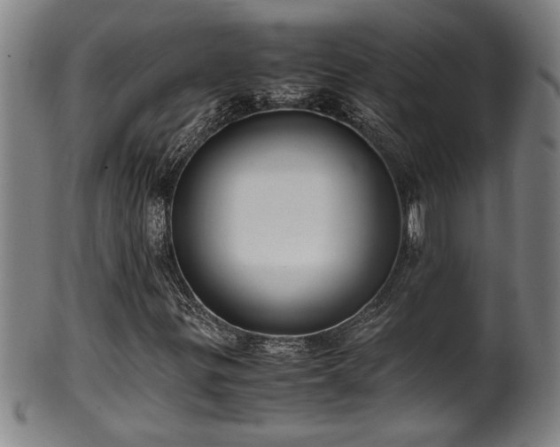 X0000100221299200806061335