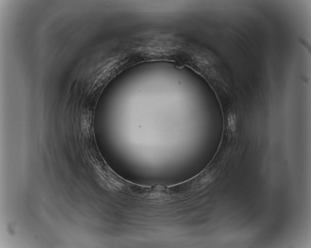 X0000100221300200806061335