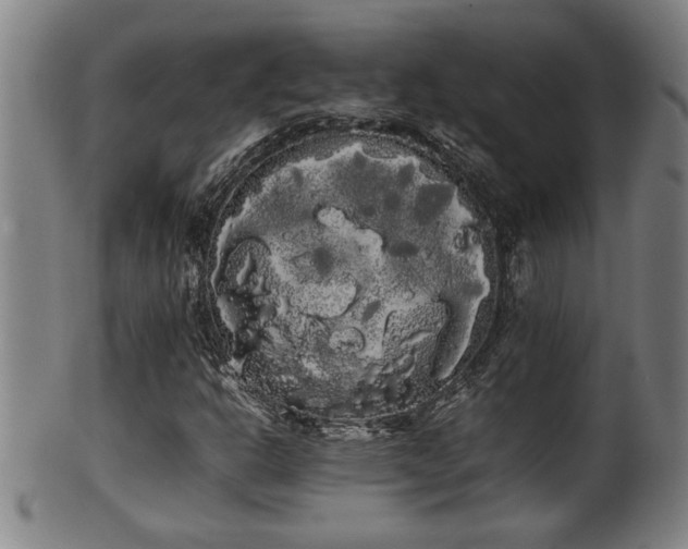 X0000100221302200806061335