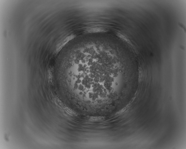 X0000100221305200806061335