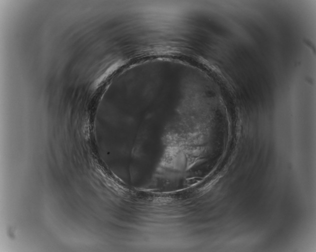 X0000100221306200806061335