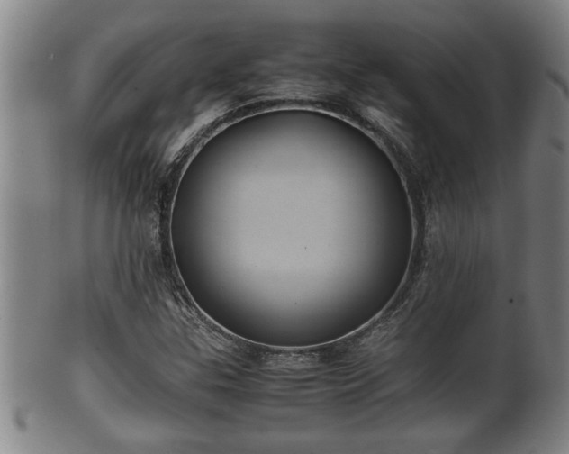 X0000100221307200806061335