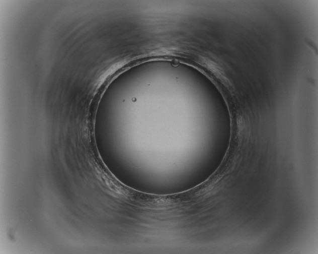 X0000100221308200806061335