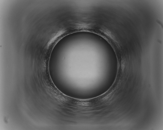 X0000100221309200806061335