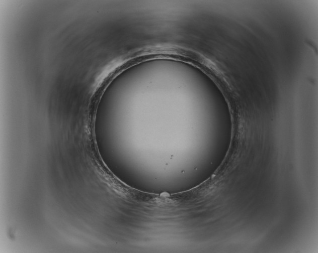 X0000100221312200806061335