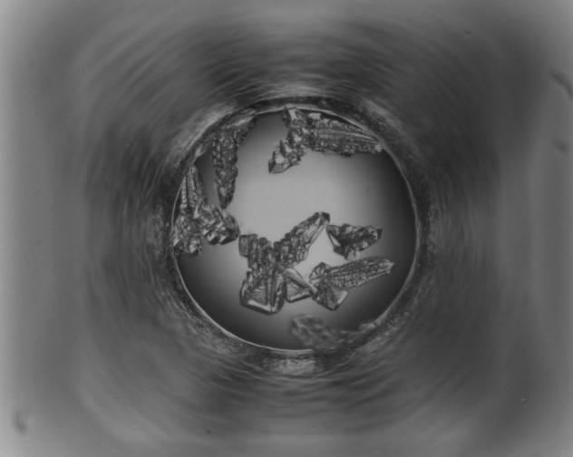 X0000100221313200806061335