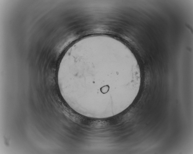 X0000100221314200806061335