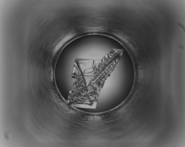 X0000100221317200806061335