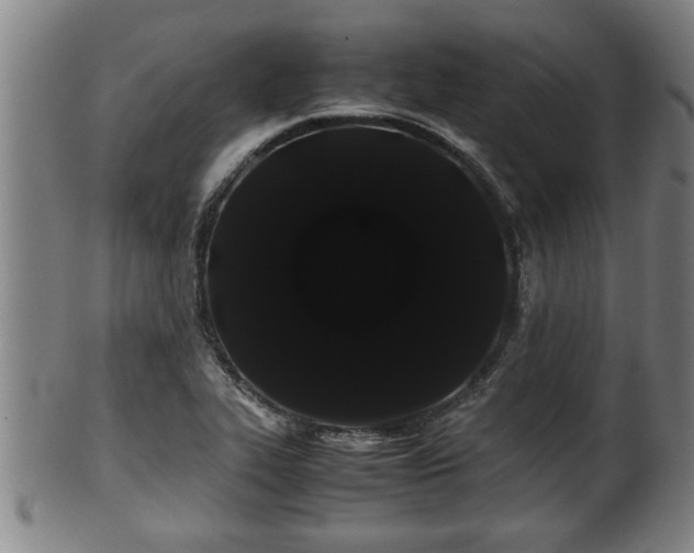 X0000100221319200806061335