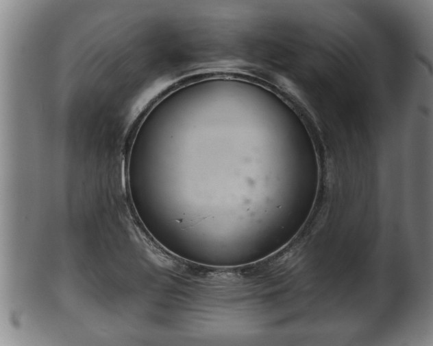 X0000100221320200806061335