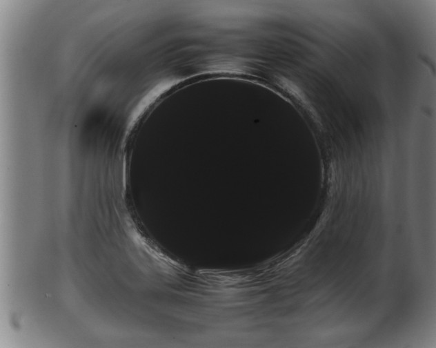 X0000100221323200806061335