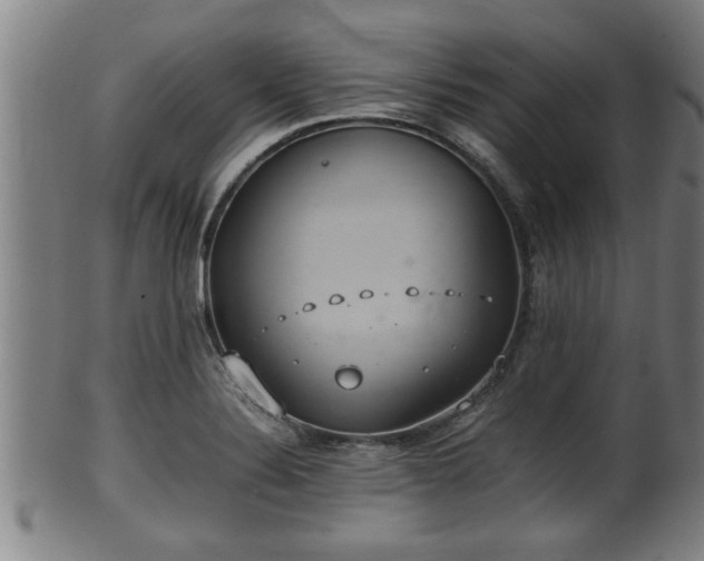 X0000100221324200806061335