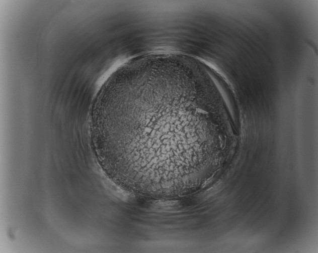 X0000100221325200806061335