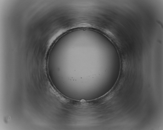 X0000100221326200806061335