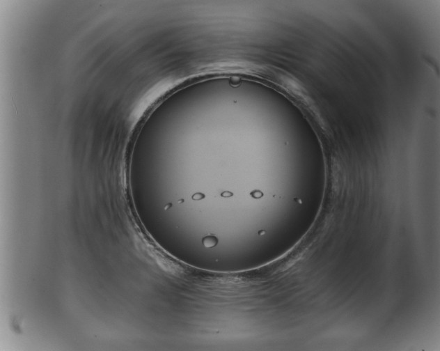 X0000100221328200806061335