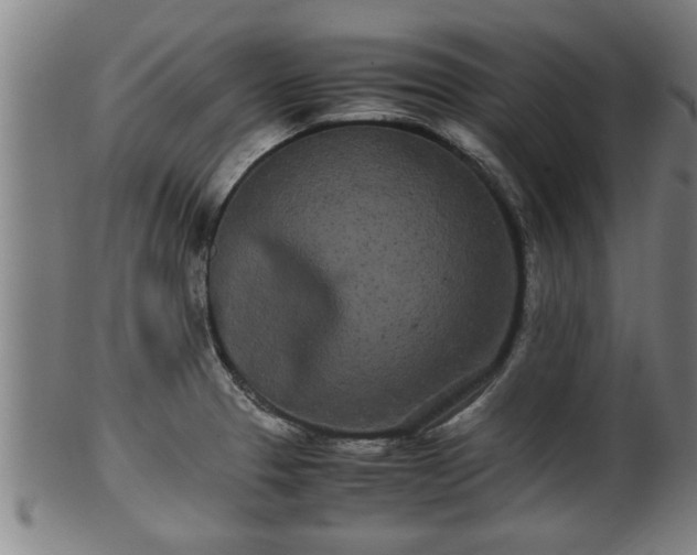 X0000100221329200806061335