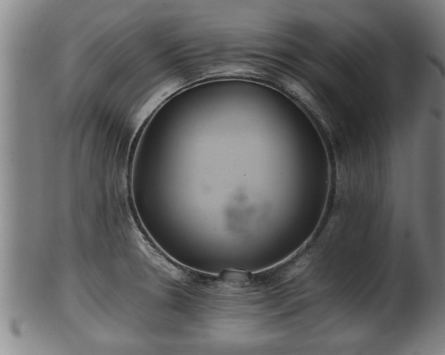 X0000100221330200806061335