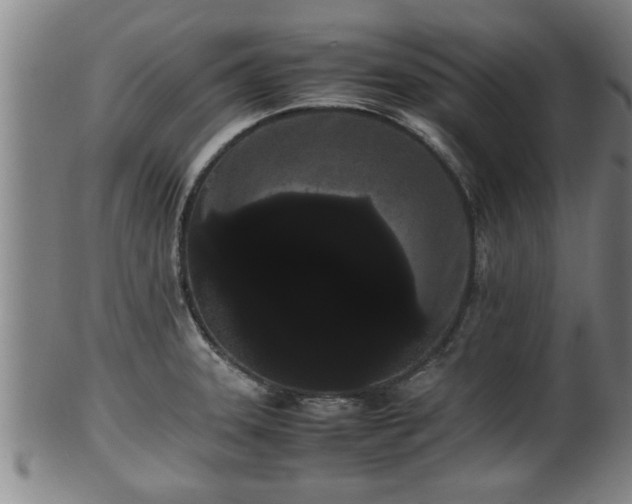 X0000100221331200806061335