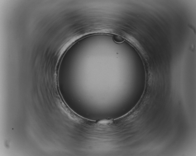 X0000100221332200806061335