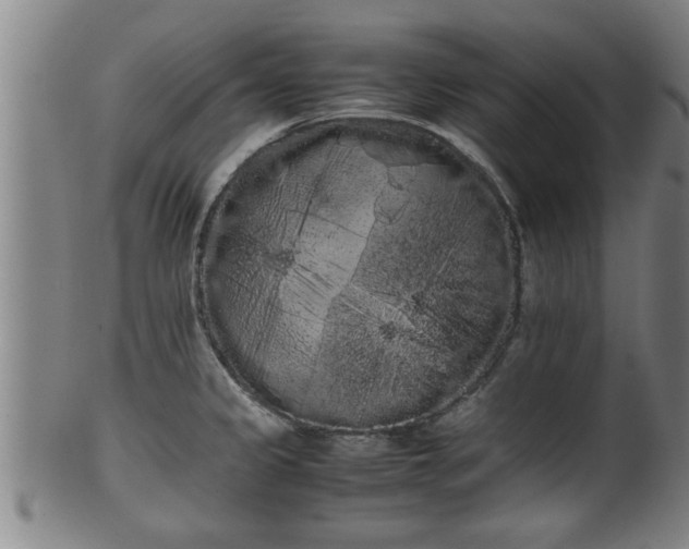 X0000100221333200806061335