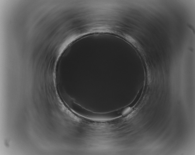 X0000100221334200806061335