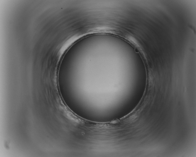 X0000100221336200806061336