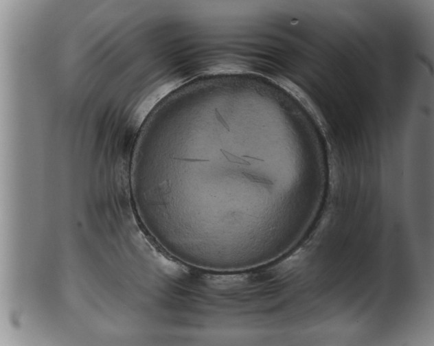 X0000100221337200806061336