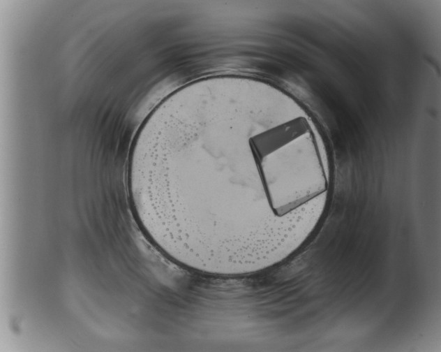 X0000100221338200806061336