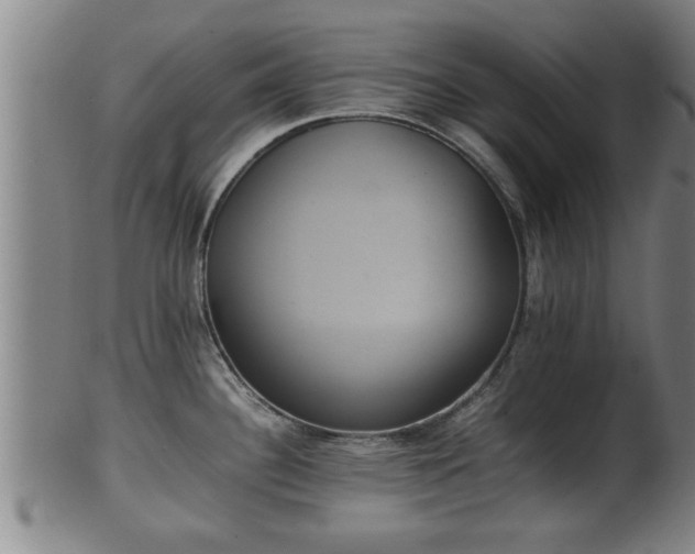 X0000100221340200806061336