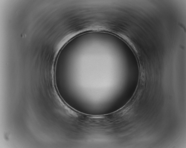 X0000100221343200806061336