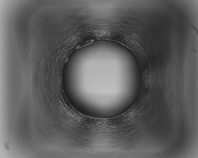 X0000100221345200806061335