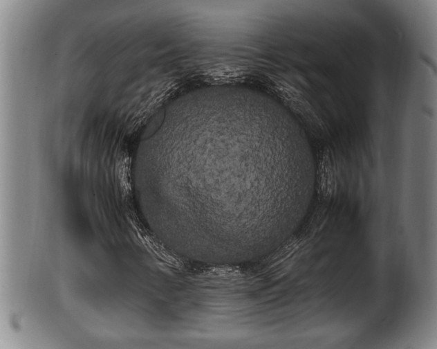 X0000100221346200806061335