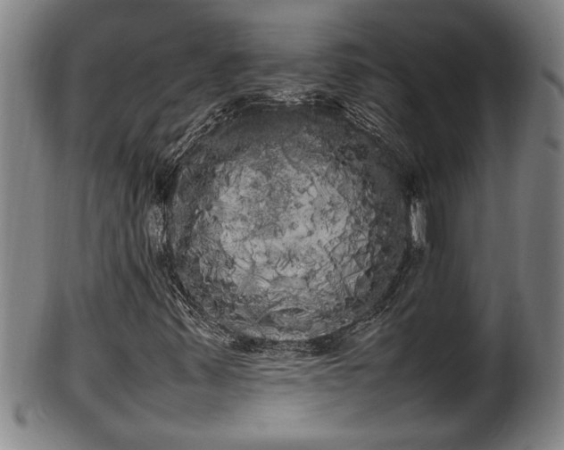 X0000100221347200806061335