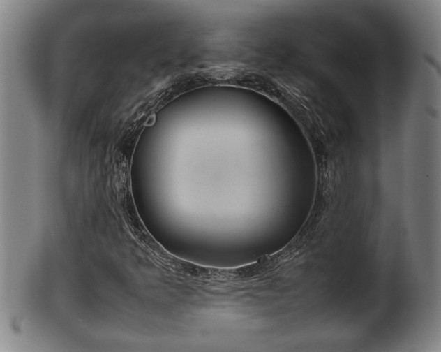 X0000100221349200806061335