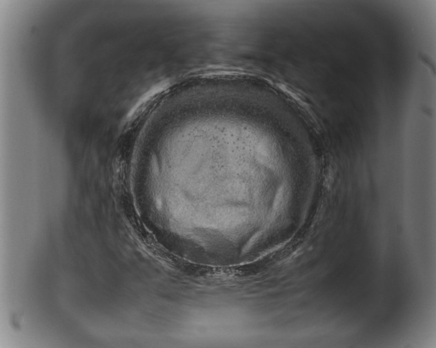 X0000100221351200806061335