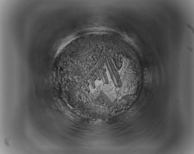 X0000100221352200806061335